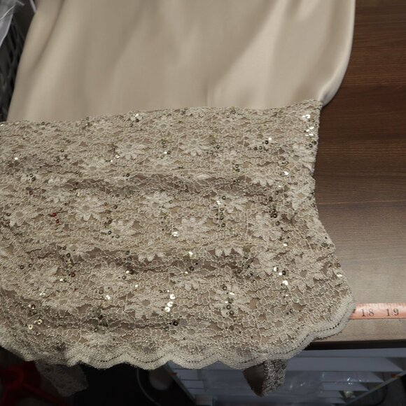 Alex Evenings Lace Sequin Dress Womens 14 Beige Cruise Formal Dance Party Event - Picture 11 of 16
